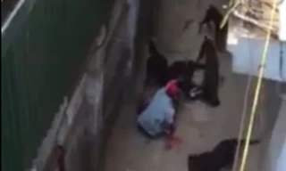 Ảnh cắt từ video. Nguồn: Facebook.