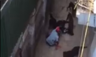 Ảnh cắt từ video. Nguồn: Facebook.