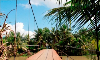 Làng làm lu và xã nghèo thi giành cầu treo của Tân Hiệp Phát