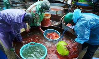 Chợ cá Yên Sở (Hoàng Mai, Hà Nội) là một trong những chợ cá đầu mối lớn nhất tại Hà Nội hiện nay. 