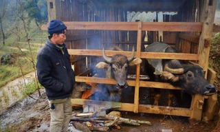 [ẢNH]: Buốt lòng cảnh người dân Sapa khổ sở chống rét