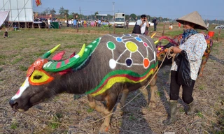 Sáng ngày 13/2 tại cánh đồng thôn Đọi Tín, xã Đọi Sơn, huyện Duy Tiên, tỉnh Hà Nam đã diễn ra hội thi vẽ trang trí trâu lễ hội Tịch điền Đọi Sơn 2016.