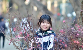 Chiều 29 Tết, trên các tuyến phố, chợ hoa, bờ Hồ nhiều người tranh thủ chụp ảnh, mua sắm, bán nốt những cành đào, chậu quất,... chuẩn bị về sum vầy bên gia đình.