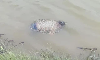 Xác chị N và 2 con nổi trên sông Thương