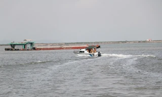 Ảnh minh họa. Ảnh trên Internet