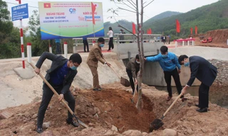 Tỉnh Đoàn Bắc Giang trồng cây xanh khởi động Thánh Thanh niên