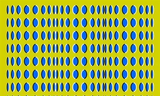 Những bức hình ma thuật