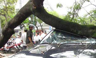 Đền bù tùy vào thiện chí