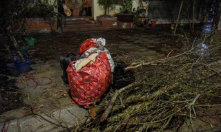 Mới 29 Tết, tiểu thương bán hoa đã dọn hàng về quê