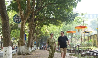 Ngắm những con đường xanh mướt giữa Thủ đô 'giải nhiệt' ngày nắng nóng