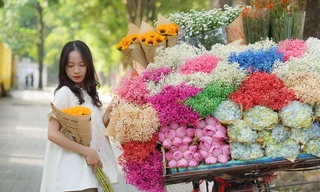 Mùa Thu gõ cửa, các nàng thơ rộn ràng check-in trên phố Hà Nội