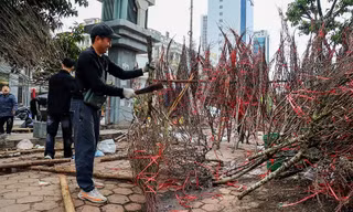 Hà Nội: Tiểu thương chặt bỏ đào ế trước khi rời chợ về quê ăn Tết