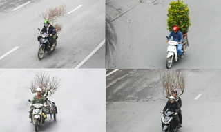 Không khí xuân tràn ngập phố phường, người Hà Nội hối hả 'chở Tết' về nhà