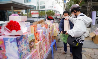 Giới trẻ săn túi mù Baby Three, hoa tulip trồng chậu tặng người yêu ngày Valentine