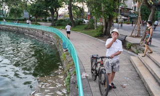 Người dân Thủ đô 'đau đầu nhức óc' vì mùi hôi thối do cá chết trắng tại Hồ Tây