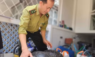 Đến nhà bạn, phát hiện 5 con vật thuộc danh mục nguy cấp quý hiếm 