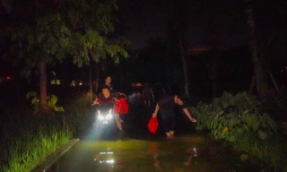 Công viên thành sông sau mưa, người Hà Nội bì bõm bắt cá giữa đêm