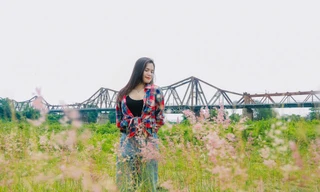 Người Hà Nội thích thú check-in bãi cỏ hồng đẹp như mơ dưới chân cầu Long Biên