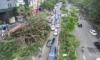 Đường phố Hà Nội vẫn ngổn ngang cây đổ, người dân 'vượt ải' ùn tắc đến công sở