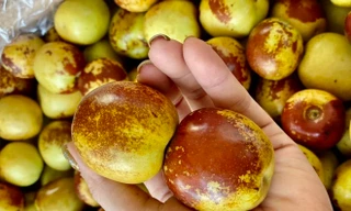 Hoa quả nhập Trung Quốc: ‘Không nên tin những đồn đoán thất thiệt’