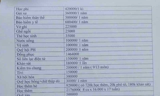 Vụ thu gần 9 triệu đầu năm: Nhiều khoản sai, trường học bị 'tuýt còi' 