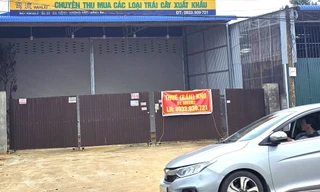 Cảnh lạ thường ở thủ phủ sầu riêng