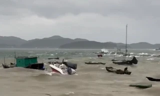 Dành tiền cả năm để đi du lịch thì gặp... bão