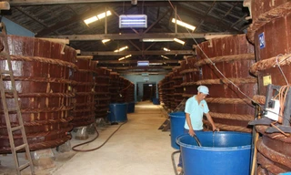 Sản xuất nước mắm của Hậu Giang tăng hơn 700%