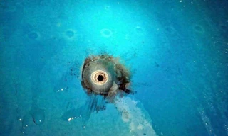 Máy bay bị sét đánh thủng vỏ, 2 người phải cấp cứu