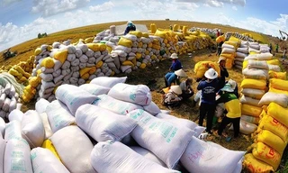 'Gạo Việt Nam không bao giờ ế, đừng lo'