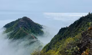 Săn mây Tà Xùa, trekking khu rừng phủ rêu ma mị như trong phim 