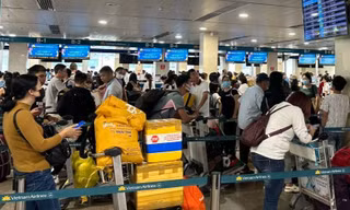 Lưu ý quan trọng khi đi máy bay dịp Tết 