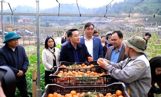 Yên Bái bứt tốc, tăng trưởng chạm ngưỡng 2 con số