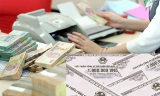 Trái chủ điêu đứng, doanh nghiệp mặc kệ