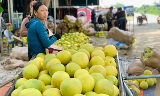 Độc đáo phiên chợ 'đệ nhất danh quả' nức tiếng Hà Tĩnh
