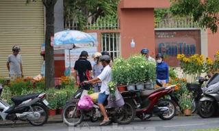 Bí thư Cần Thơ yêu cầu làm rõ vì sao 'dư thừa' hoa trái dịp Tết 