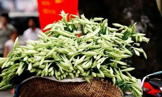 Hoa loa kèn rộn ràng khắp phố Hà Nội