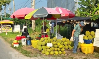 Cám cảnh 'trái cây vua': Tiểu thương thờ ơ, người trồng mỏi mòn chờ khách