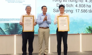 Thủ phủ cà phê ứng phó khi EU cấm nhập hàng xuất xứ từ phá rừng