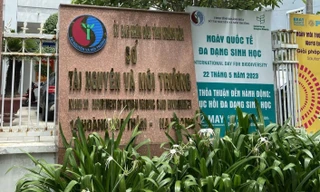 Yêu cầu làm rõ việc một sở ở Khánh Hòa không chịu thi hành án hành chính