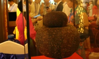 Ấn tượng quả trà 'Phổ nhĩ - Song thụ hồ lô' nặng 14kg 