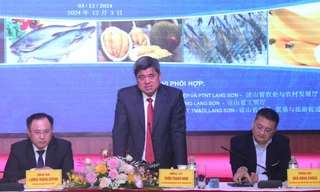 Thứ trưởng Trần Thanh Nam tham gia ý kiến tại Diễn đàn (ảnh: Duy Chiến)