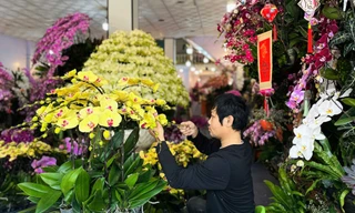 Bỏ túi 4-5 triệu đồng/ngày nhờ nghề... cắm hoa 