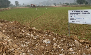 Dự án đường dây 500kV: 'Trảm' nhà thầu ngay trên công trường