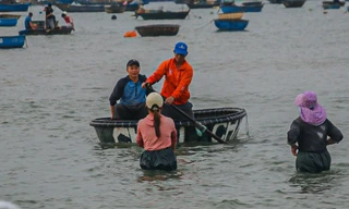 Mất mùa ruốc biển, ngư dân đứng ngồi không yên 