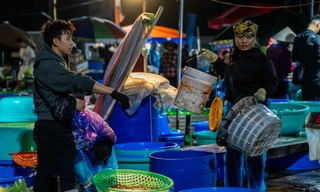 Chợ cá 'không ngủ' duy nhất ở vịnh Hạ Long