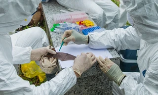 Các nhà nghiên cứu gửi các mẫu phân và bộ phận của dơi họ bắt được trong hang động tới Viện Virus học Vũ Hán để tìm coronavirus. Ảnh: Ecohealth Alliance.