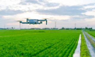 Dùng drone để chụp ảnh trên cánh đồng, cung cấp thông tin chi tiết về số lượng rau quả, kích thước và mức độ phát triển của chúng. Ảnh: Niponica.