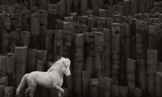 "​Iceland là nơi có một giống ngựa rất quý phái nhưng cứng cáp, là hậu duệ của loài ngựa Viking nguyên thủy. Lịch sử của họ ở Iceland chứa đựng nhiều bí ẩn và sự hấp dẫn,” Doggett nói. Ảnh: Drew Doggett.