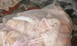 Hơn 100 tấn nội tạng thối tuồn ra thị trường